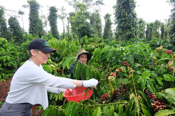 Tăng cường thúc đẩy mối quan hệ hợp tác vì sự phát triển bền vững