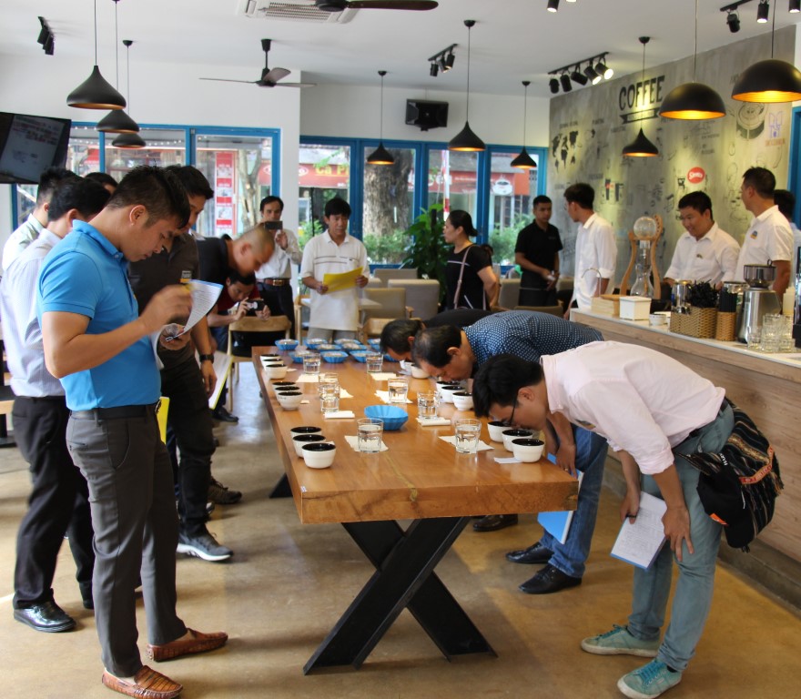 Thành lập Ban Tổ chức và Ban Thư ký Cuộc thi Cà phê đặc sản Việt Nam 2019