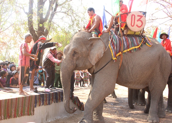 Buon Don District: Urgently prepare for the Elephant Racing and Festival of Ethnic Cultural Traditions, 2019