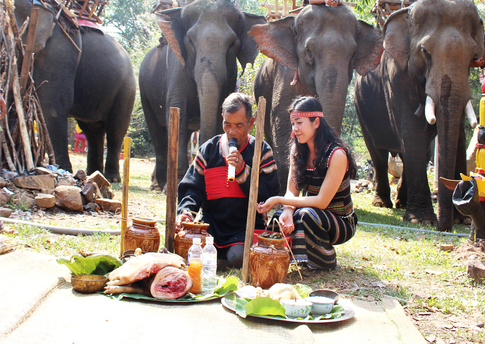 Unique Health Praying Ceremony for Elephants