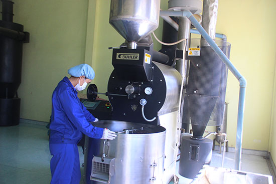 Toàn tỉnh hiện có 301 cơ sở chế biến cà phê