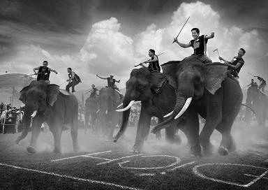 Buon Don Elephant Racing (Dak Lak) will be exciting and attractive