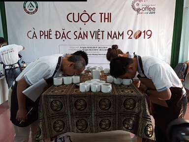 Có 42 mẫu tham dự Vòng sơ kết Cuộc thi Cà phê đặc sản Việt Nam 2019
