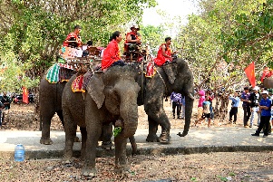 Lễ hội văn hóa truyền thống các dân tộc huyện Buôn Đôn: Lễ cúng bến nước và Lễ cúng sức khỏe cho voi