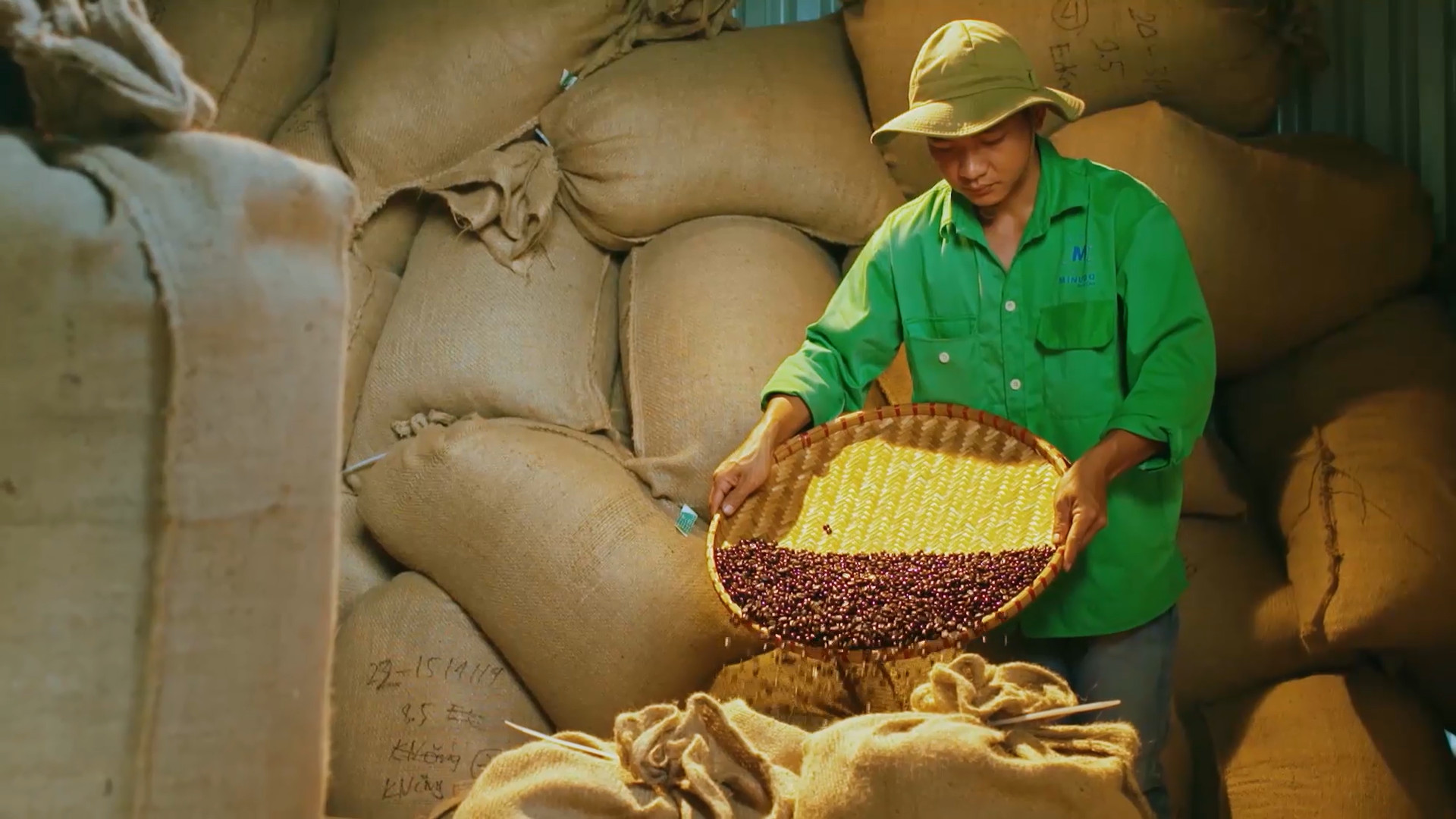Khởi động Cuộc thi video clip giới thiệu về cà phê Buôn Ma Thuột