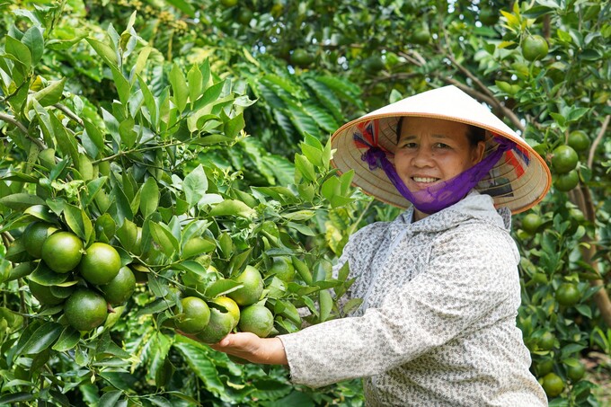Thu nửa tỷ đồng mỗi năm nhờ chuyển đổi nông nghiệp hữu cơ