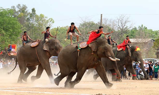 Tổ chức Hội đua thuyền độc mộc huyện Lắk và Hội voi Buôn Đôn trong chương trình Lễ hội cà phê Buôn Ma Thuột lần thứ 8 năm 2023