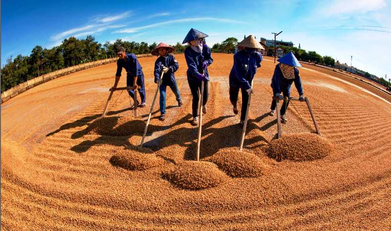 Cuộc thi ảnh “Khoảnh khắc Lễ hội Cà phê Buôn Ma Thuột lần thứ 8 năm 2023”.