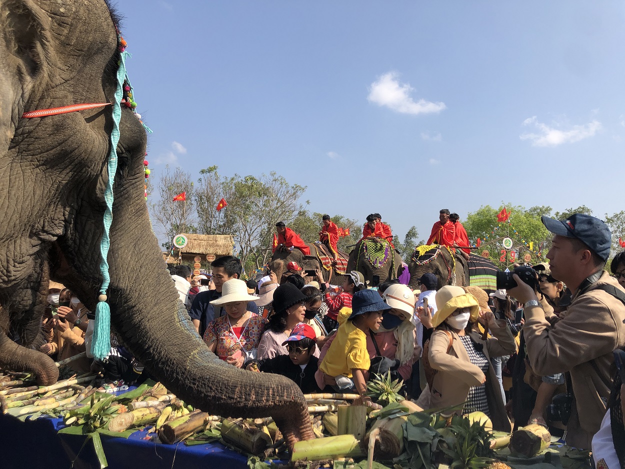 Hội Voi Buôn Đôn: Thông điệp bảo vệ môi trường và bảo tồn văn hoá truyền thống Tây Nguyên