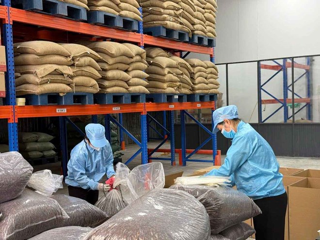 Đắk Lắk xuất khẩu vỏ cà phê chế biến sang Hàn Quốc