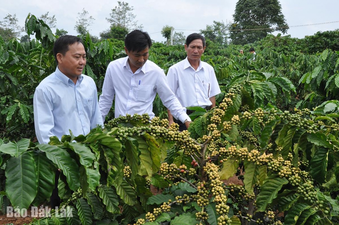 Agribank Chi nhánh tỉnh Đắk Lắk: Đồng hành cùng Lễ hội Cà phê Buôn Ma Thuột